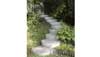 Image: steep woodland garden steps, Argyll